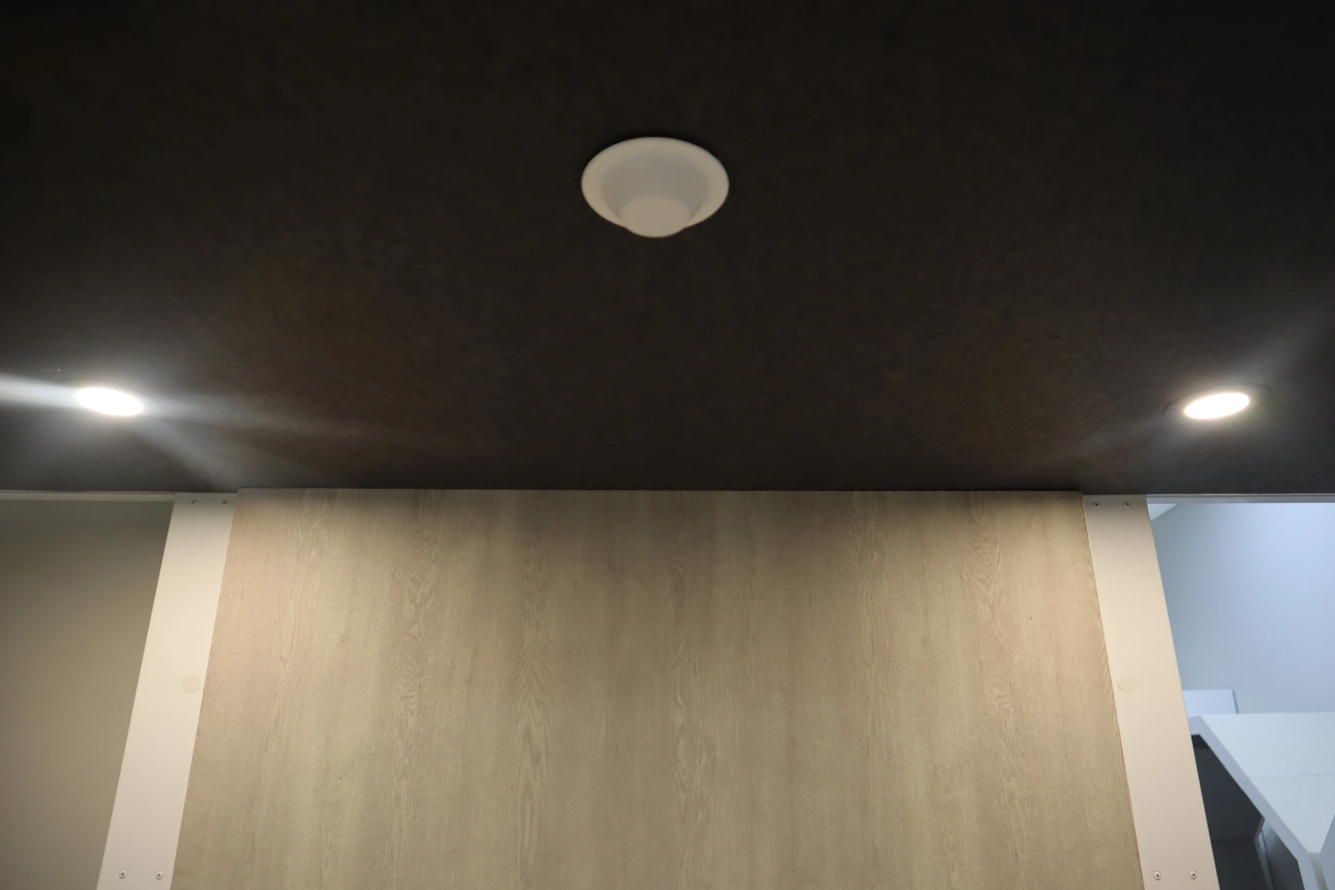 Decibel Privacy pod ceiling and fire suppression